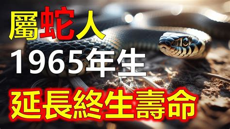 1965年農曆|1965年年歷,通勝,農民曆,農曆,黃歷,節氣,節日